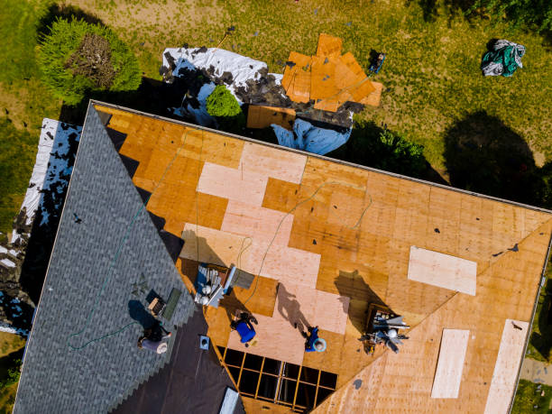 Best Roof Repair Services  in Castle Rock, WA