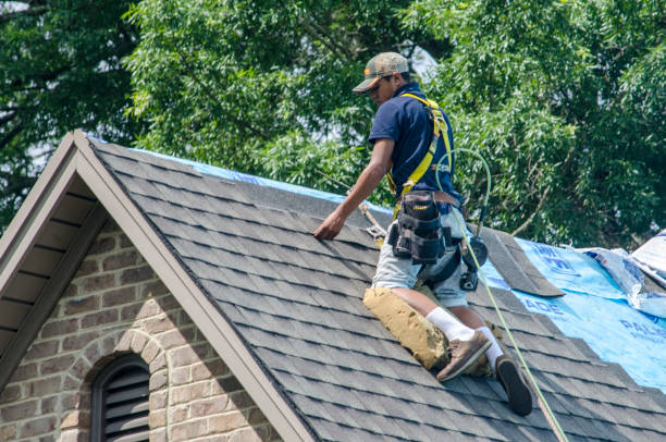 Best Roof Leak Repair  in Castle Rock, WA