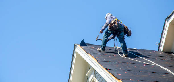 Best Shingle Roofing Installation  in Castle Rock, WA